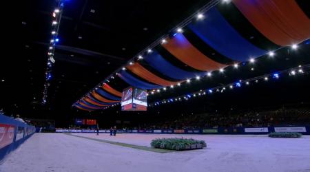 Tweede bezichtiging Tuigpaardhengsten - groep 1