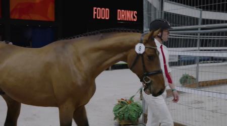 008. Bakersfield VDL Z