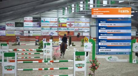 088. TATTOO H & DB - TN