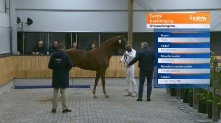 Dag 4 - Straatje (groep 1)