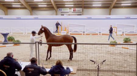 103. TEMPERAMENT J.O