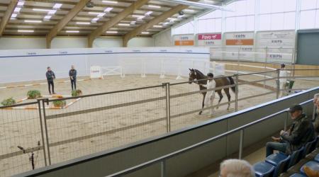 372. Take Two-Pomona