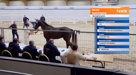 100. LEANDRO VAN DE WATERING Z