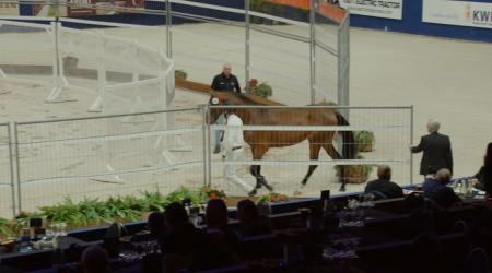 058	SAN GIOVANNI VAN DE HAGENHORST