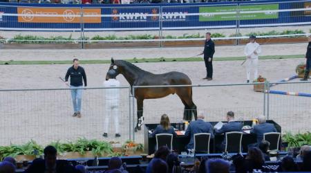 410 SAN FRANCISCO KS