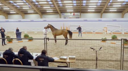 105. TINTO DE VERANO JS