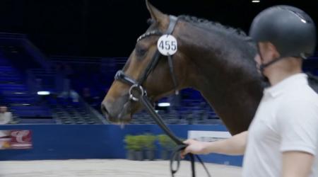 455 SPECIAL ORDER STH