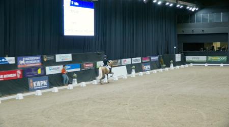 016. OJEE - B 017. ODIN