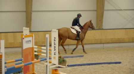 16. RAVELLO VAN DE HAGENHORST 19. ROCKEFELLER JPS