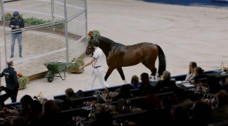 376. Total Romance A.