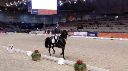 779 - Everdale  - VHO trofee