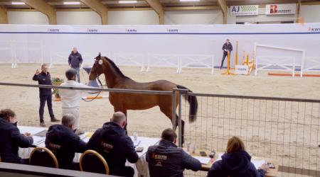 027. CHAC VI CUPTRIC VAN BEEK Z