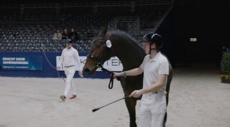 401. Tom Cruise Texel