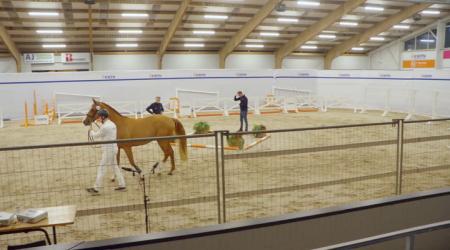 150. WHAT'S WARRIOR VAN DBS Z