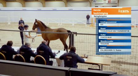 025. TITANIUM BLUE VAN'T HUNZEHOF