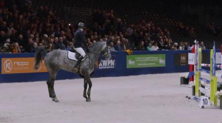 Finale Blom Hengstencompetitie - Klasse 1.10m