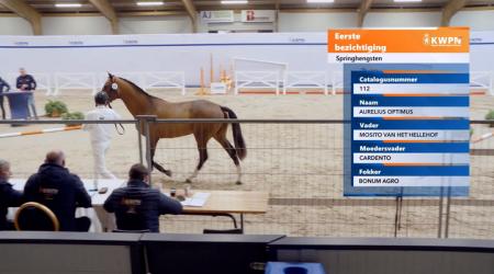 112. AURELIUS OPTIMUS