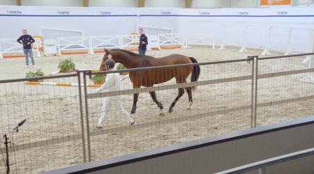 132. TEARS FOR FEARS HH