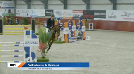 081	Paddington van de Marshoeve (tweede manche)