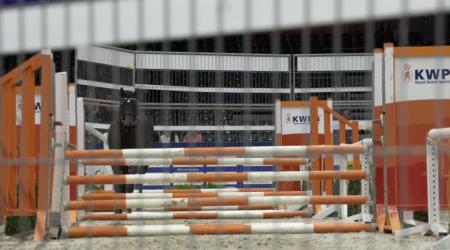 Bekijk de aftermovie van de KWPN Stallion Show 2020