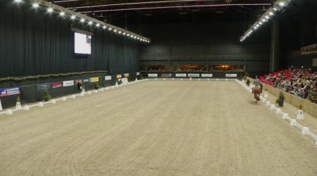 004. Real Dream en 035. Rockstar