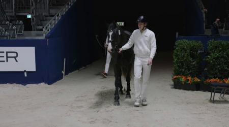 320. Diamantenglim AEH