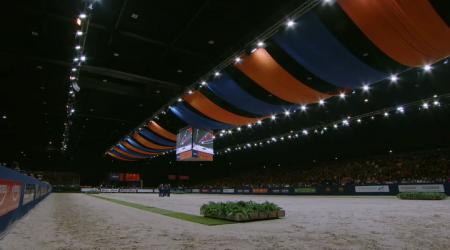 Presentatie aangewezen dressuurhengsten - groep 3