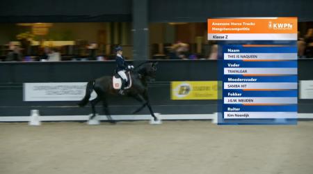 035. THIS IS NAQUEEN