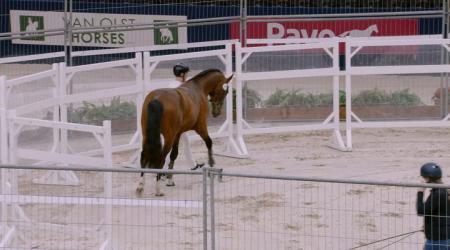 025. Titanium Blue Van 'T Hunzehof SB