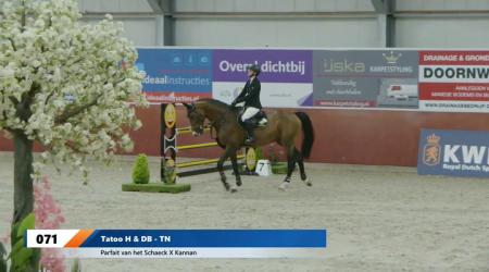 071	Tatoo H & DB - TN (barrage)