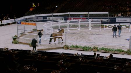 094. Tin Tin Van Seldsum