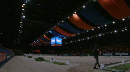 Predicaat Gelders paard - Deifeldt's King van de Landhorst