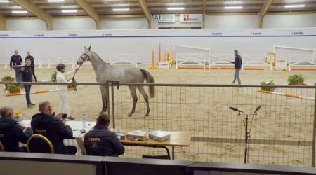 148. TOKYO KEIZERSBERG