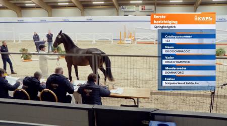 133. OR D DOMINAGO Z