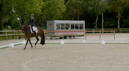 Pharrellnosa en 188. Picasso