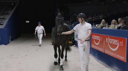 392. Tsavo Van T Studutch