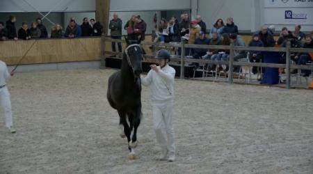 Revalino van Altrido