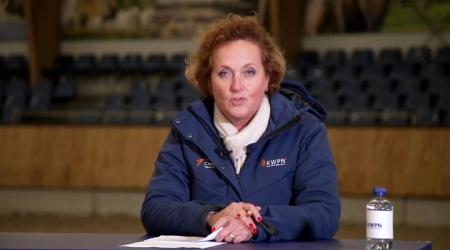 Webinar - van veulen tot goedgekeurde dekhengst