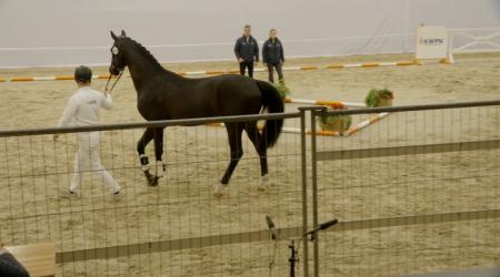 443. TAEKEMA TER KWINCKE