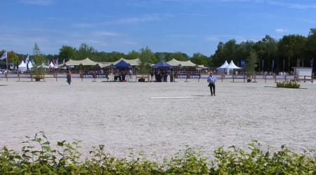Nationale Veulenkeuring - Gelders paard (groep 1)