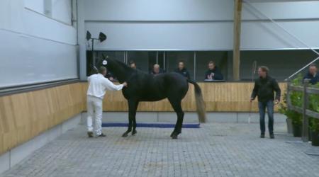 Dag 5 - Straatje (groep 2)