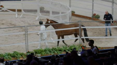 087	SOCUP VAN DE WACHTPOST