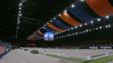 Huldiging - Arie Hamoen