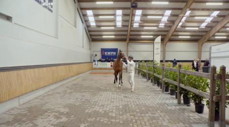 16 december - Straatje (groep 2)