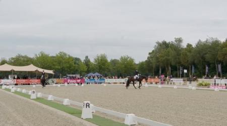 Nashville Sw en 106. Nordic Blue Hors