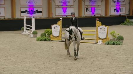 65. Z REBEL BLUE - N