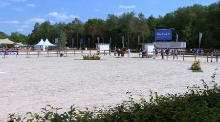 Nationale Veulenkeuring - Gelders paard (finale)