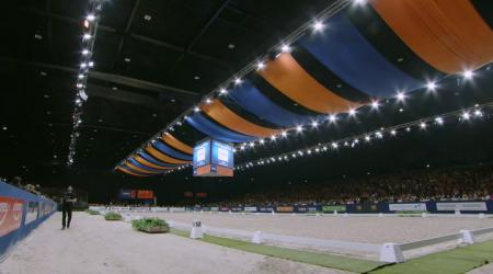 Finale Anemone Horse Trucks Hengstencompetitie - Klasse M