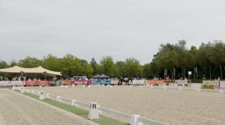 Olivewood Tarpania en 848. Oxxi_Lena