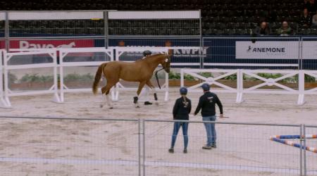 030. Crescendo Van De Boxem Z